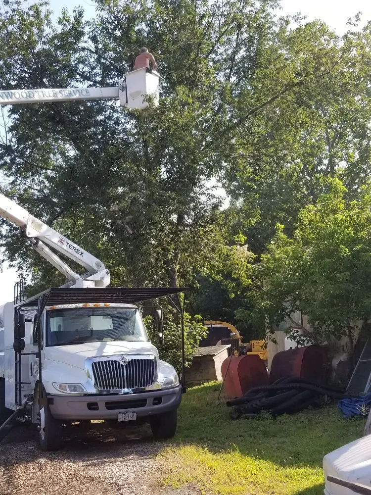 Top-rated yard cleanup service in Chester, NY - Greenwood Tree Service & Landscaping