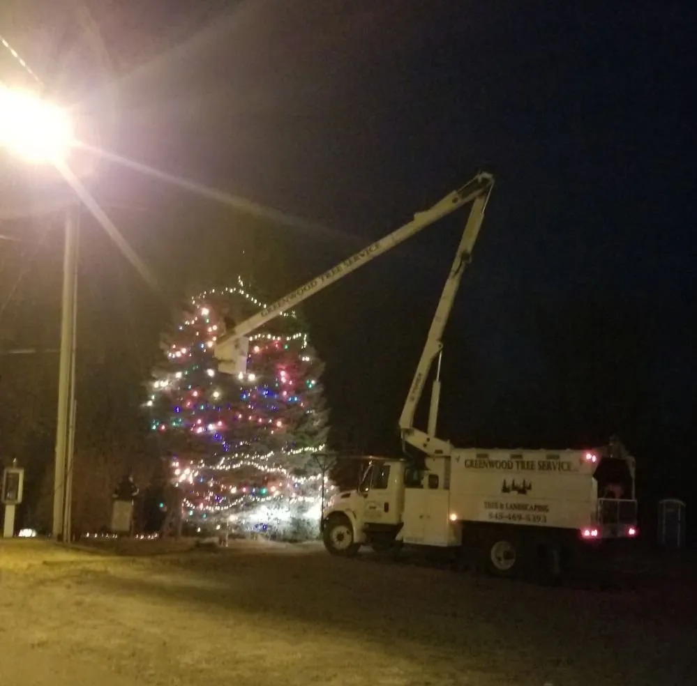 Local landscaping services in Chester, NY - Greenwood Tree Service & Landscaping