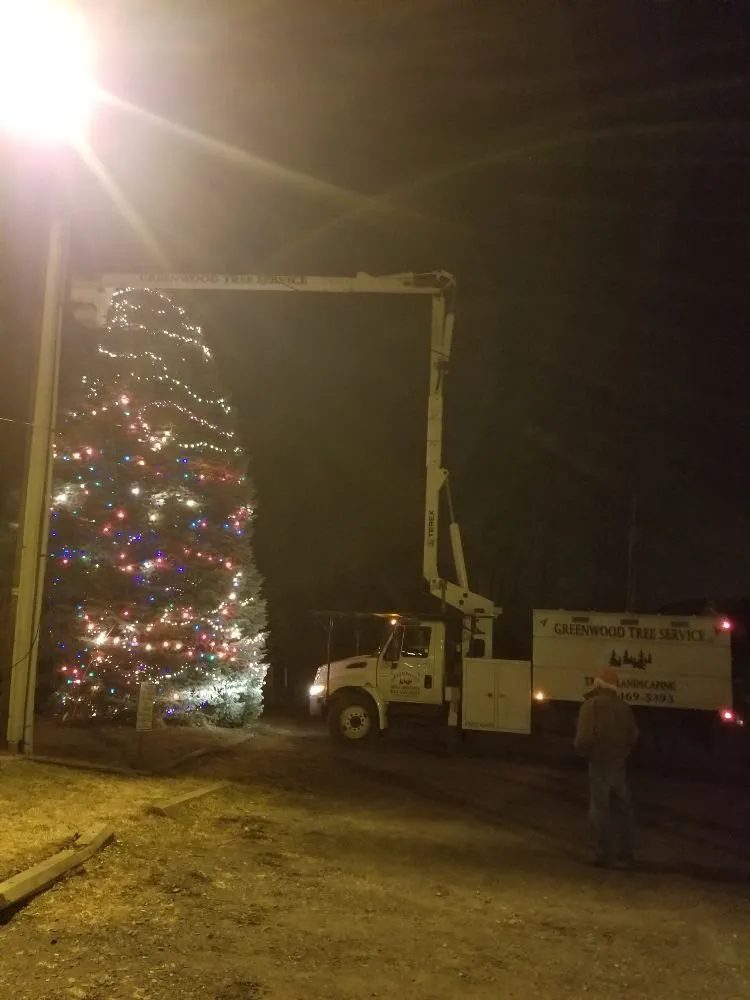 Affordable outdoor landscaping experts serving Chester, NY - Greenwood Tree Service & Landscaping