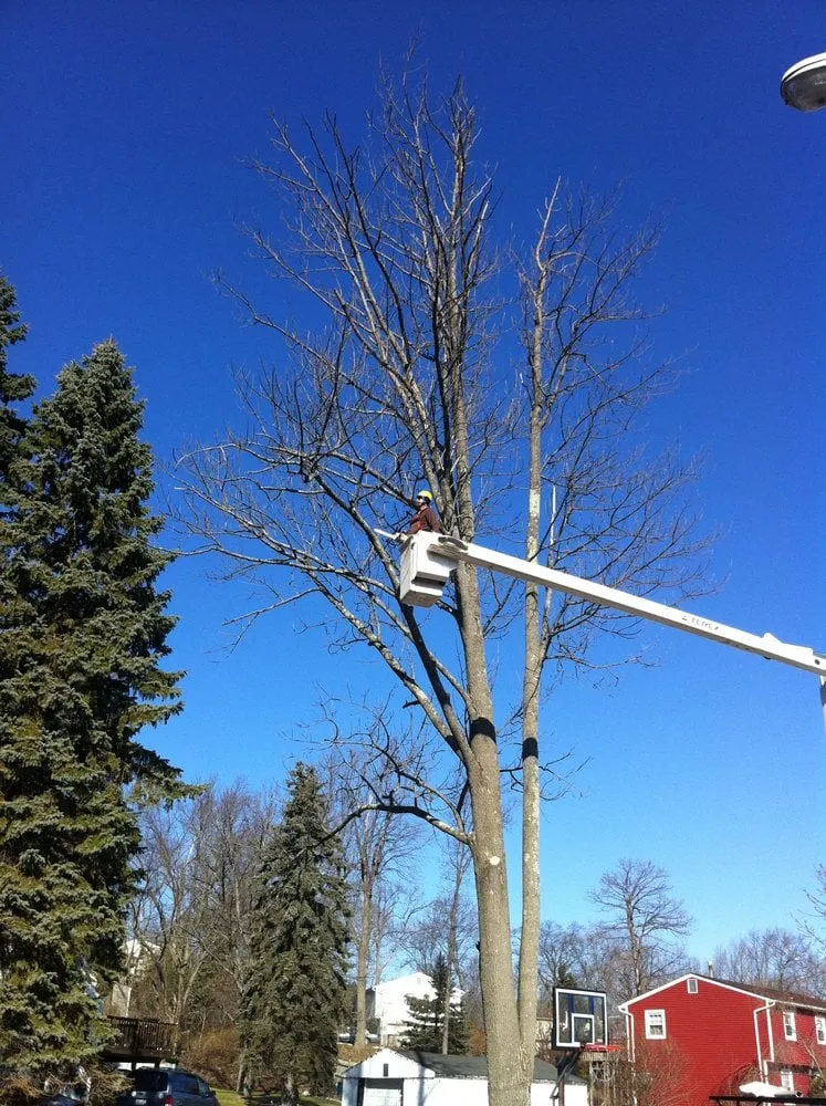 Expert residential landscaping in Chester, NY by Greenwood Tree Service & Landscaping