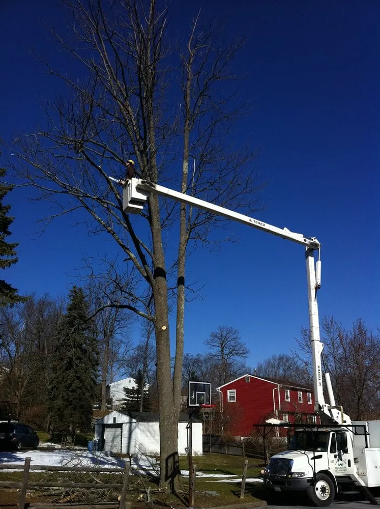 Local lawn mowing service experts serving Chester, NY - Greenwood Tree Service & Landscaping