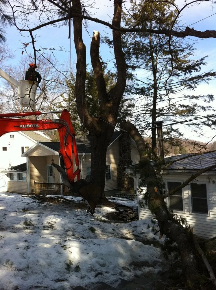 Reliable residential landscaping in Chester, NY - Greenwood Tree Service & Landscaping