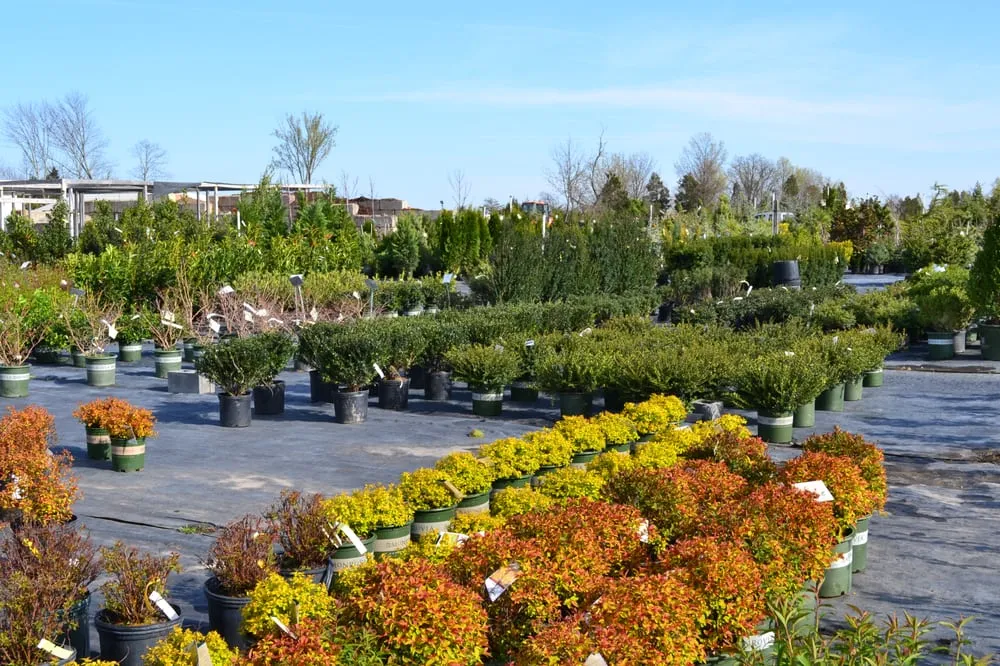 Trusted yard maintenance with custom design in Chantilly, VA by Greenworks Garden Center