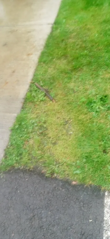 Local landscape design with custom design across Salem, OR - Greenworks Landcare