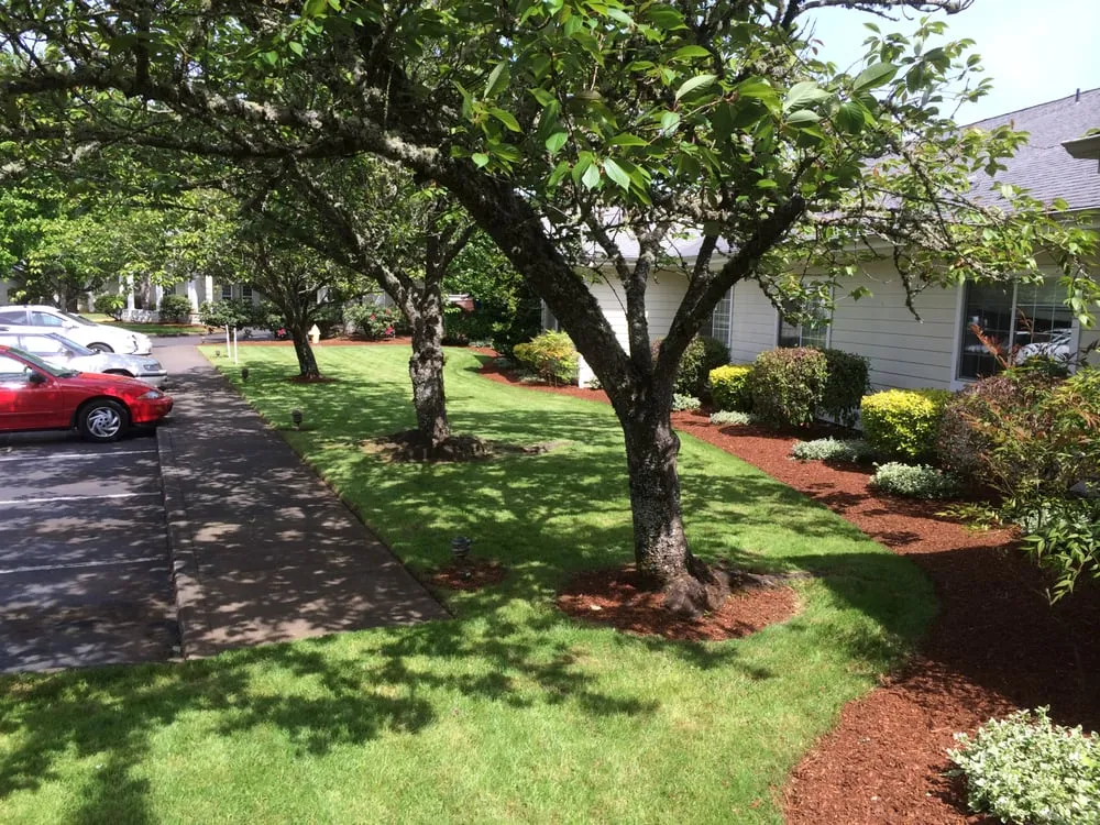 Trusted landscape design for outdoor upgrades in Salem, OR by Greenworks Landcare