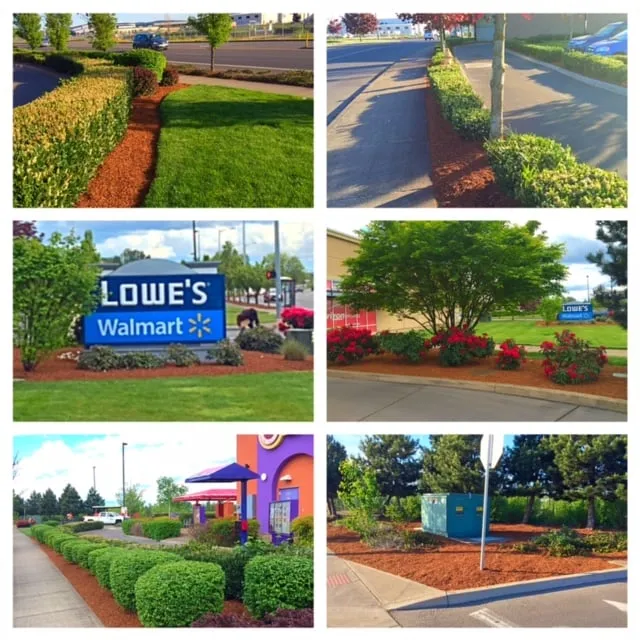 Expert landscape design in Salem, OR by Greenworks Landcare