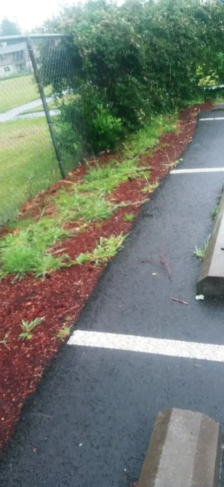 Custom yard cleanup service in Salem, OR - Greenworks Landcare