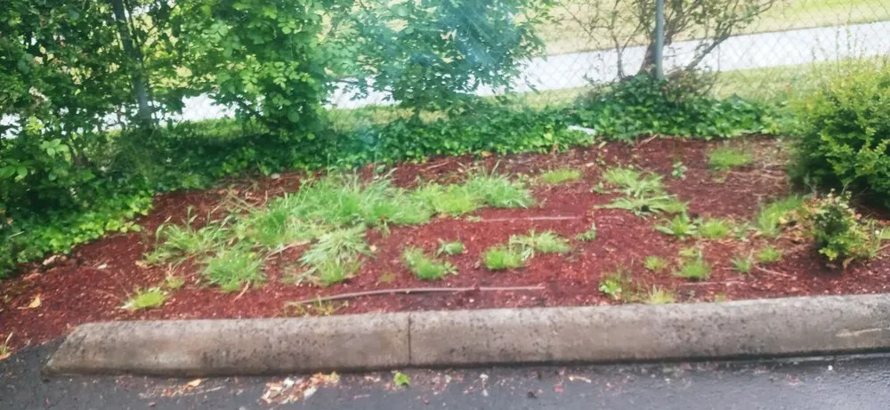 Expert outdoor landscaping in Salem, OR - Greenworks Landcare