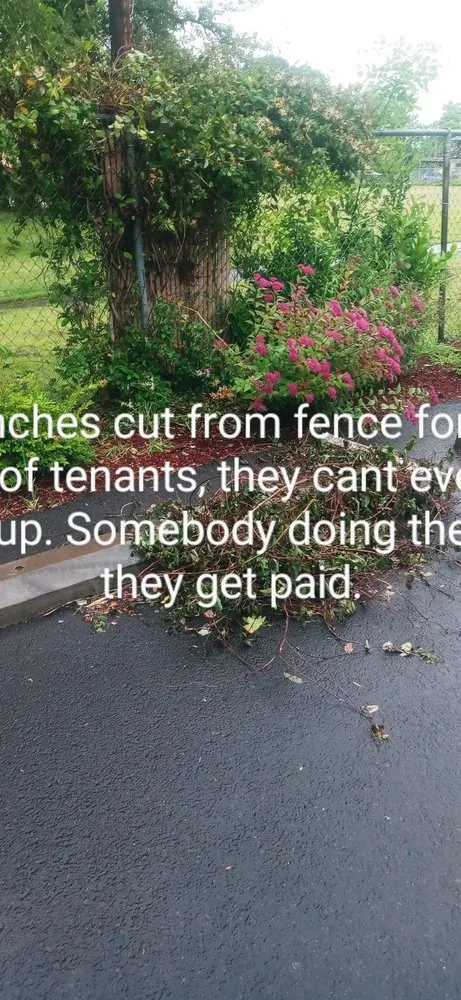 Local landscaping services experts serving Salem, OR - Greenworks Landcare