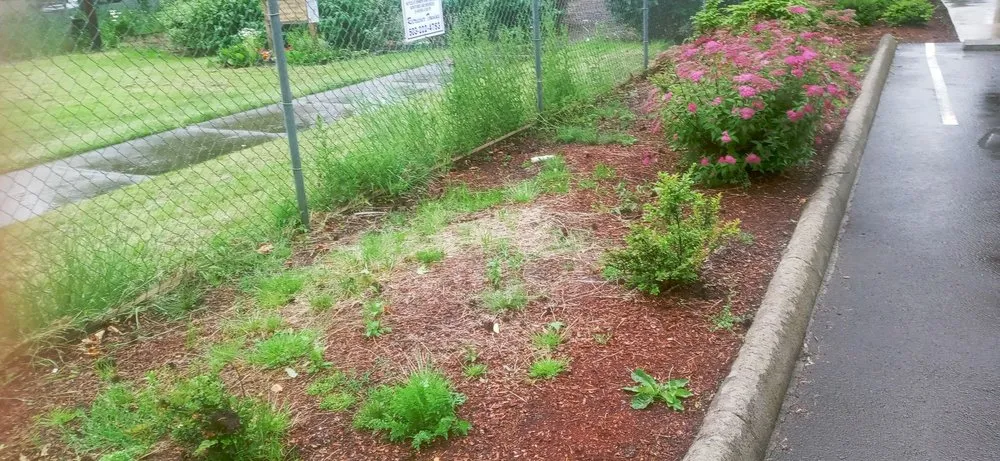 Custom residential landscaping for year-round maintenance in Salem, OR by Greenworks Landcare