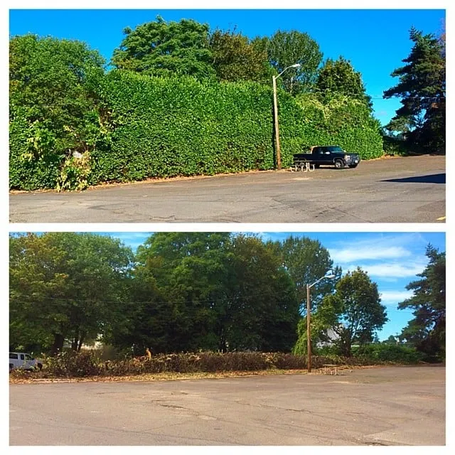 Custom landscape installation in Salem, OR by Greenworks Landcare