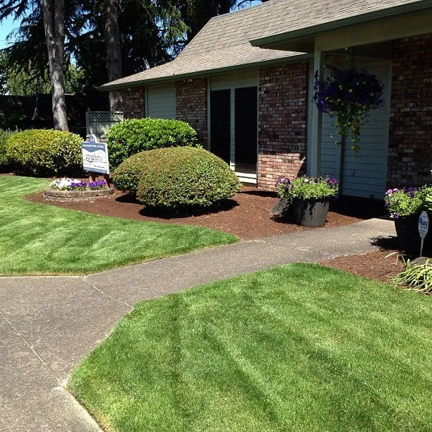 Expert yard cleanup service in Salem, OR - Greenworks Landcare