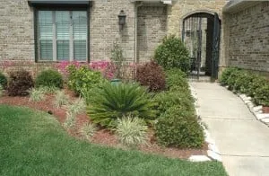 Professional outdoor landscaping near you across Houston, TX - Greenworks Landscaping and Irrigation