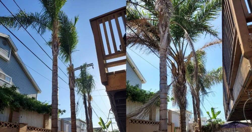 Trusted landscaping services near you in Redondo Beach, CA by GreenWorks Landscaping