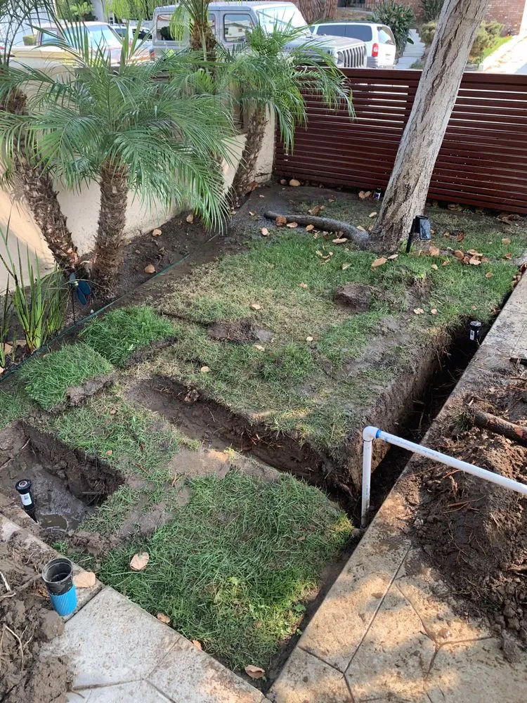 Expert lawn care service experts serving Redondo Beach, CA - GreenWorks Landscaping