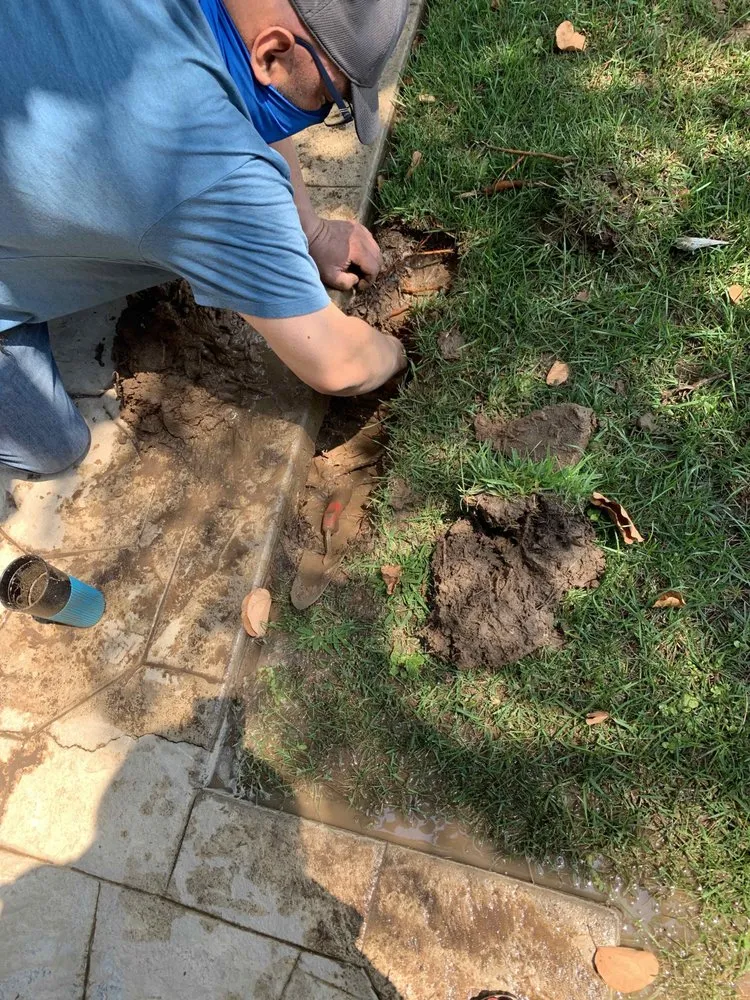 Professional garden landscaping for residential properties in Redondo Beach, CA by GreenWorks Landscaping