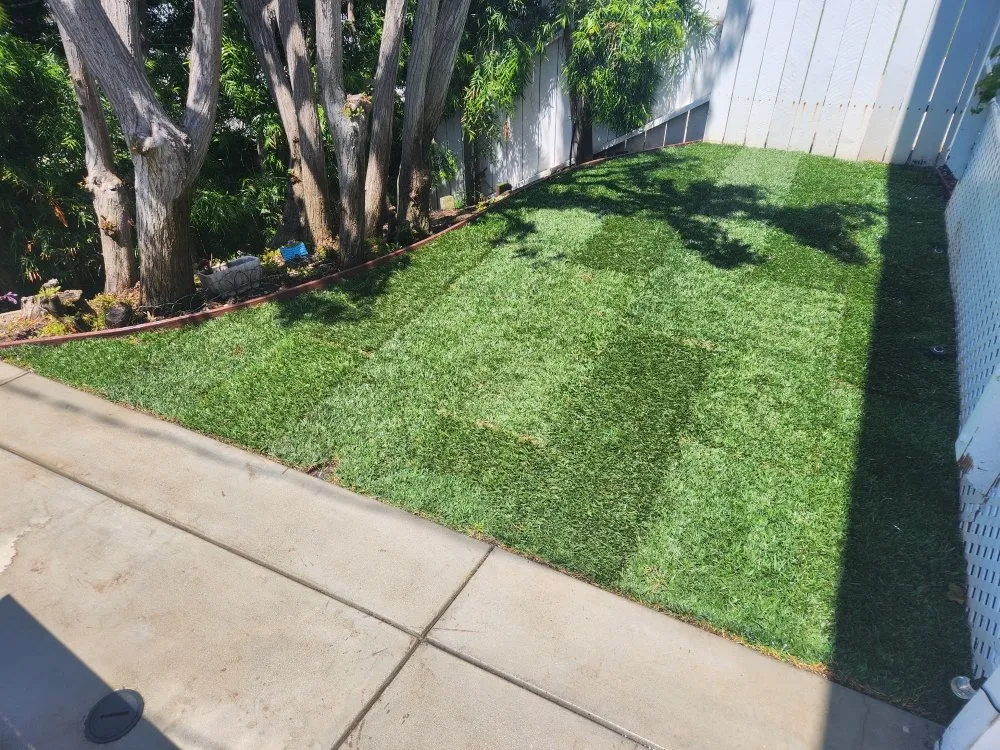 Expert outdoor landscaping for residential properties across Redondo Beach, CA - GreenWorks Landscaping