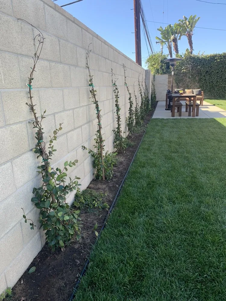 Custom lawn mowing service in Redondo Beach, CA by GreenWorks Landscaping