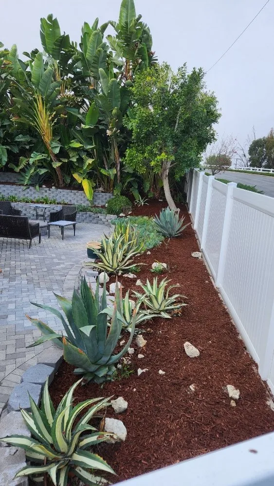 Affordable lawn care service experts serving Redondo Beach, CA - GreenWorks Landscaping