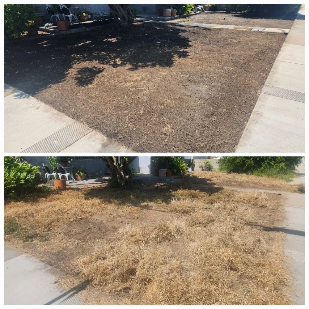 Reliable yard cleanup service with custom design across Redondo Beach, CA - GreenWorks Landscaping