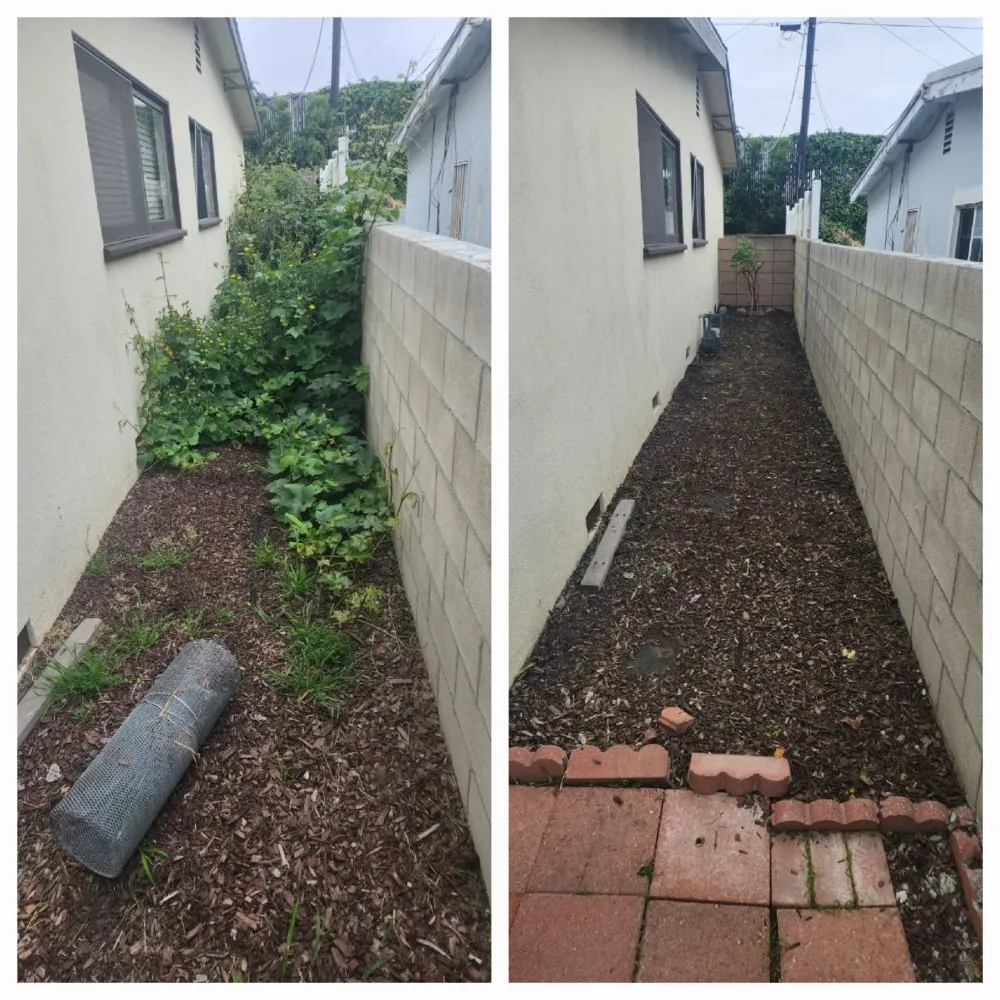 Affordable outdoor landscaping with custom design in Redondo Beach, CA by GreenWorks Landscaping