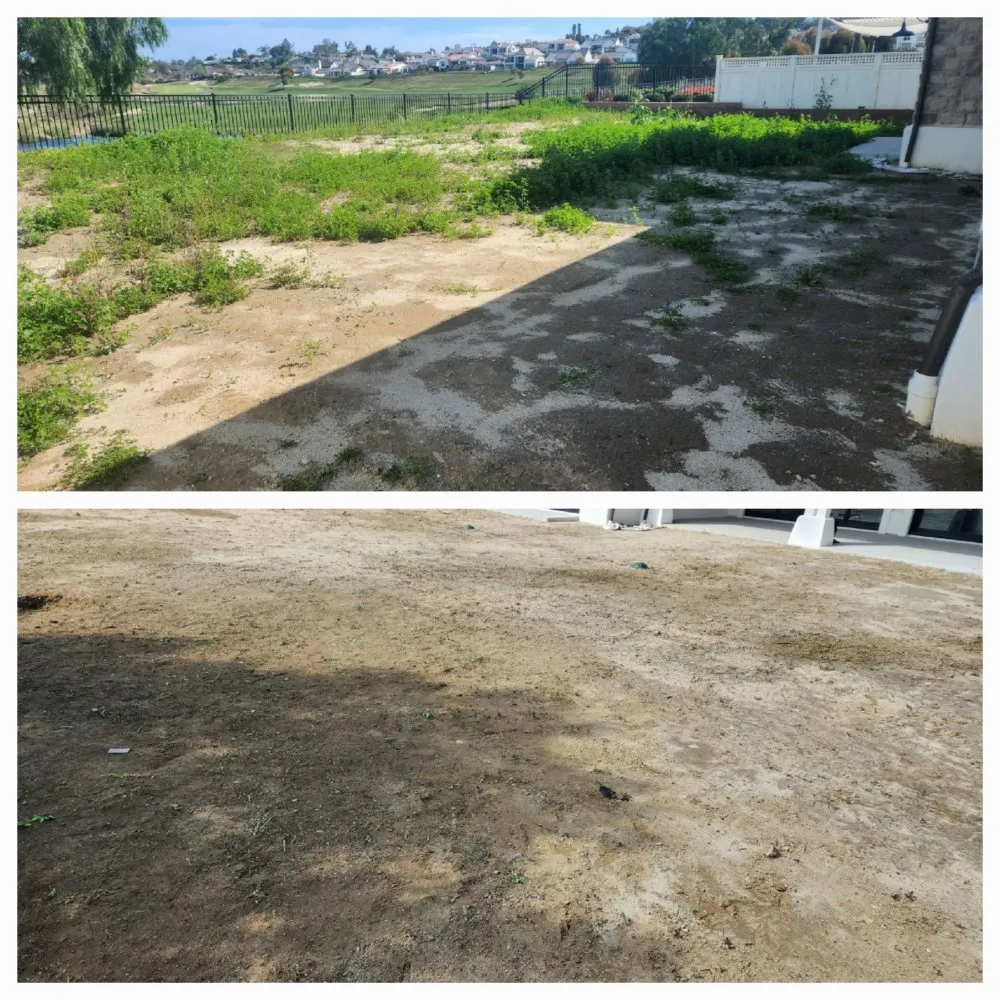 Affordable landscaping services for year-round maintenance in Redondo Beach, CA by GreenWorks Landscaping