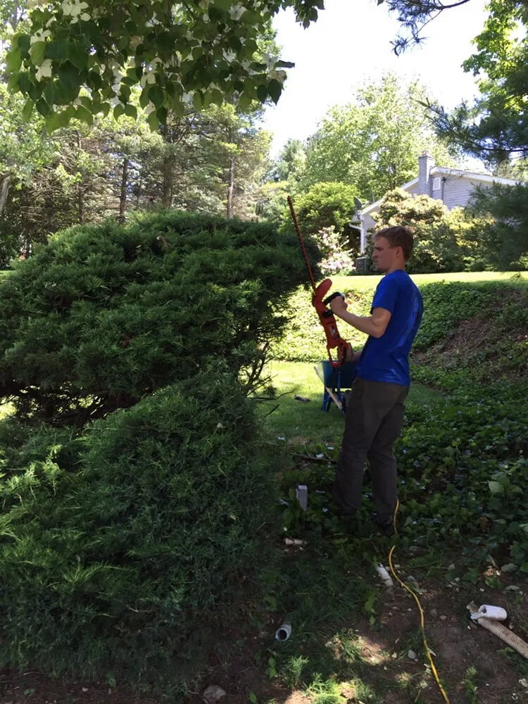 Local yard cleanup service experts serving Easton, PA - GreenWorks Lawn & Landscape Services