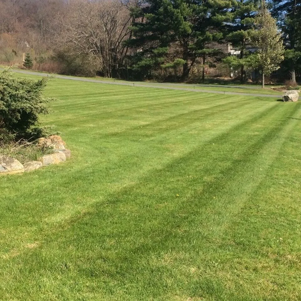 Local lawn care service in Easton, PA by GreenWorks Lawn & Landscape Services