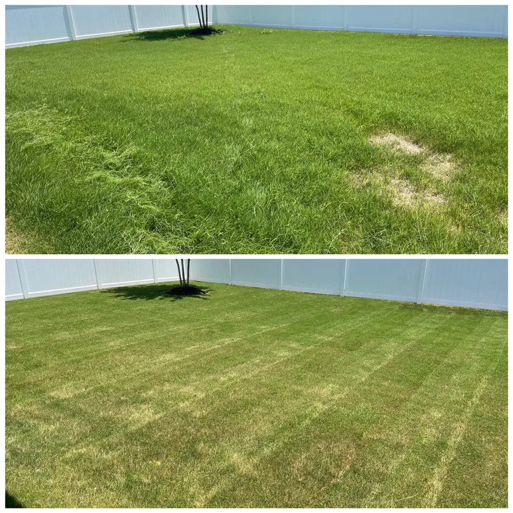 Trusted outdoor landscaping near you across Pflugerville, TX - GreenWorks Lawn Care