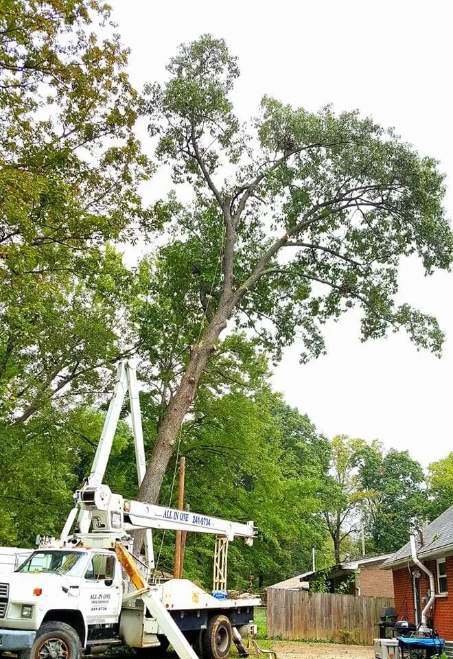 Top-rated lawn mowing service in Jeffersonville, IN by Greenworks Lawn Landscape & Trees