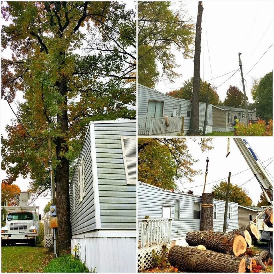 Trusted outdoor landscaping experts serving Jeffersonville, IN - Greenworks Lawn Landscape & Trees