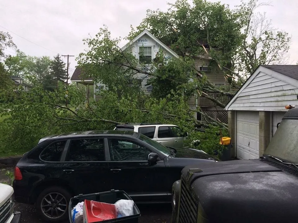 Affordable landscape design in Jeffersonville, IN - Greenworks Lawn Landscape & Trees