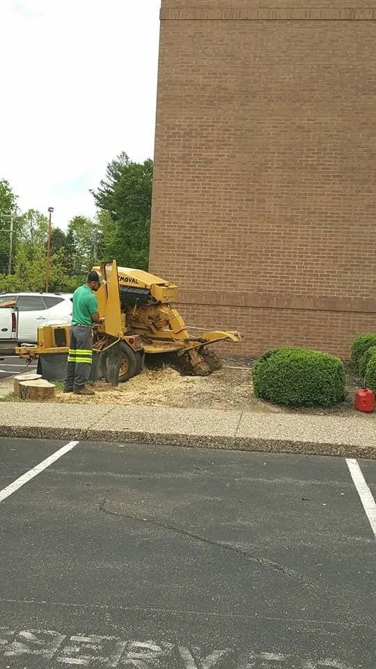 Expert landscaping services near you in Jeffersonville, IN by Greenworks Lawn Landscape & Trees