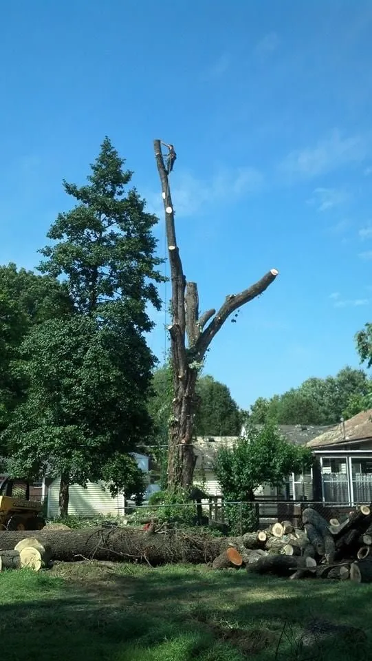 Professional yard cleanup service for outdoor upgrades across Jeffersonville, IN - Greenworks Lawn Landscape & Trees