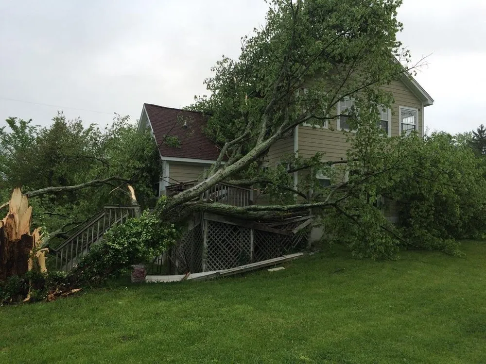 Local outdoor landscaping experts serving Jeffersonville, IN - Greenworks Lawn Landscape & Trees