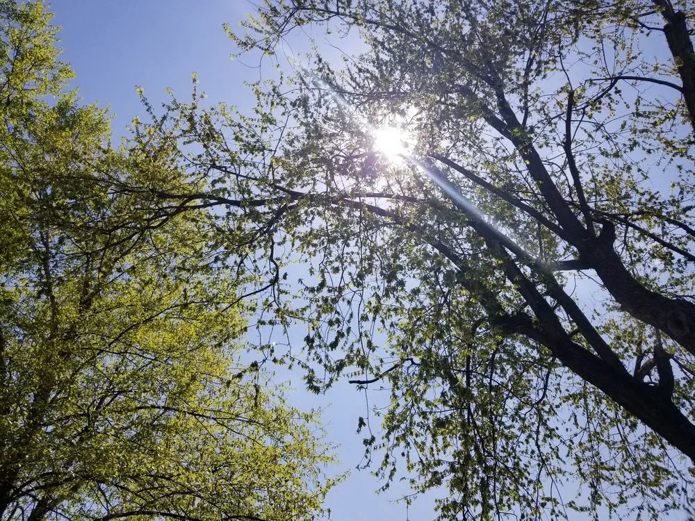 Reliable residential landscaping experts serving Jeffersonville, IN - Greenworks Lawn Landscape & Trees