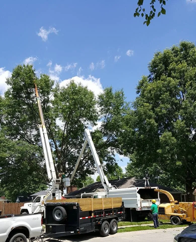 Trusted yard maintenance in Jeffersonville, IN - Greenworks Lawn Landscape & Trees