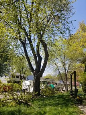 Greenworks Lawn Landscape & Trees