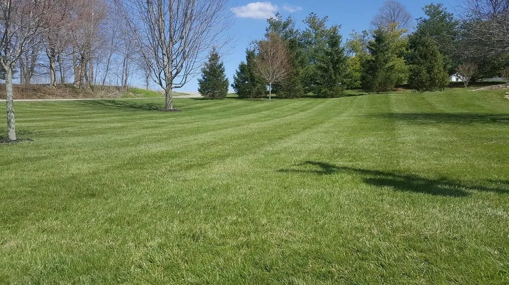 Top-rated landscaping services for year-round maintenance in Pierceton, IN by GreenWorks Lawn Solutions