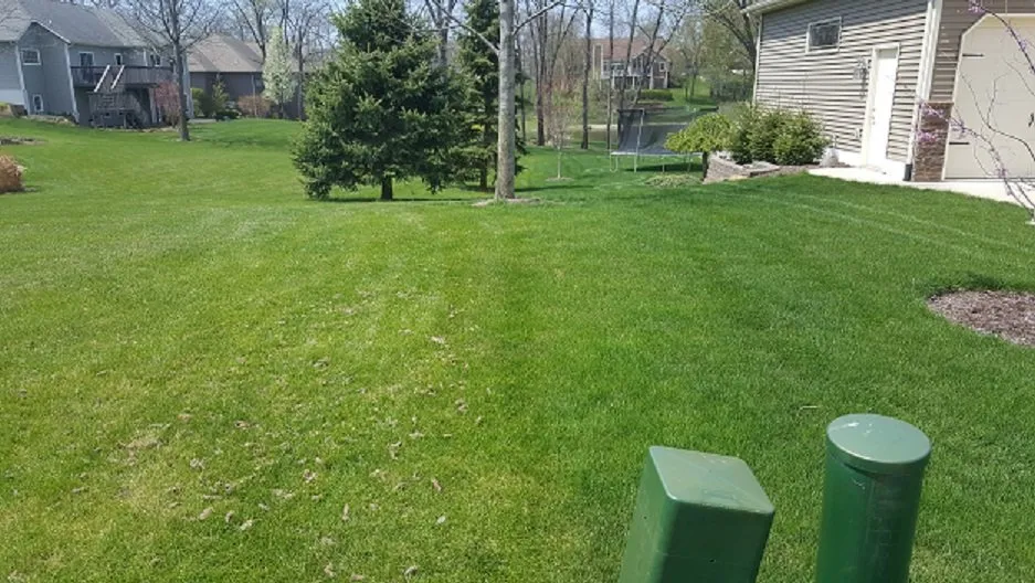 Local yard cleanup service in Pierceton, IN by GreenWorks Lawn Solutions