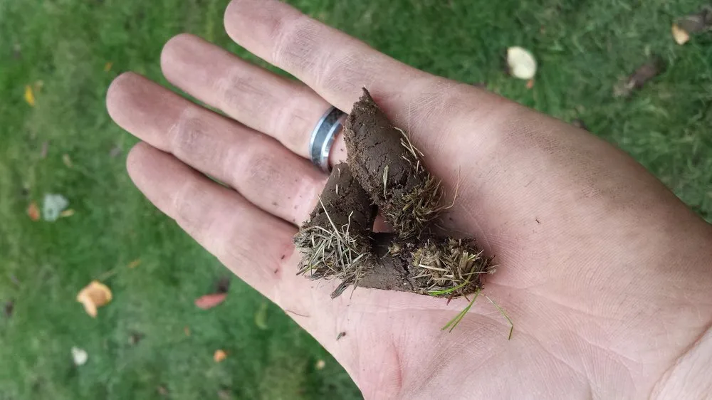 Custom yard maintenance in Pierceton, IN - GreenWorks Lawn Solutions