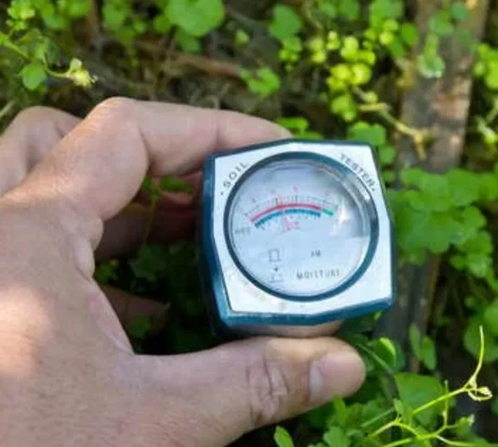 Local lawn mowing service experts serving Johnston, RI - GreenWorks Lawn Specialists