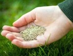 Trusted yard maintenance experts serving Johnston, RI - GreenWorks Lawn Specialists