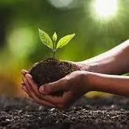 Top-rated landscape design for residential properties in Johnston, RI by GreenWorks Lawn Specialists