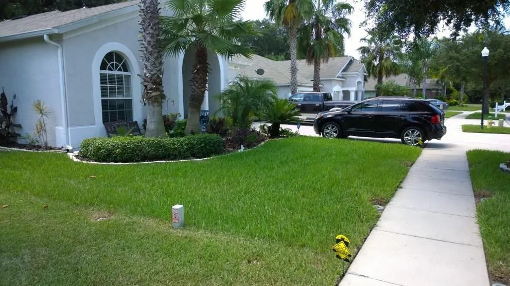 Expert landscape design in Plant City, FL by Greenworks