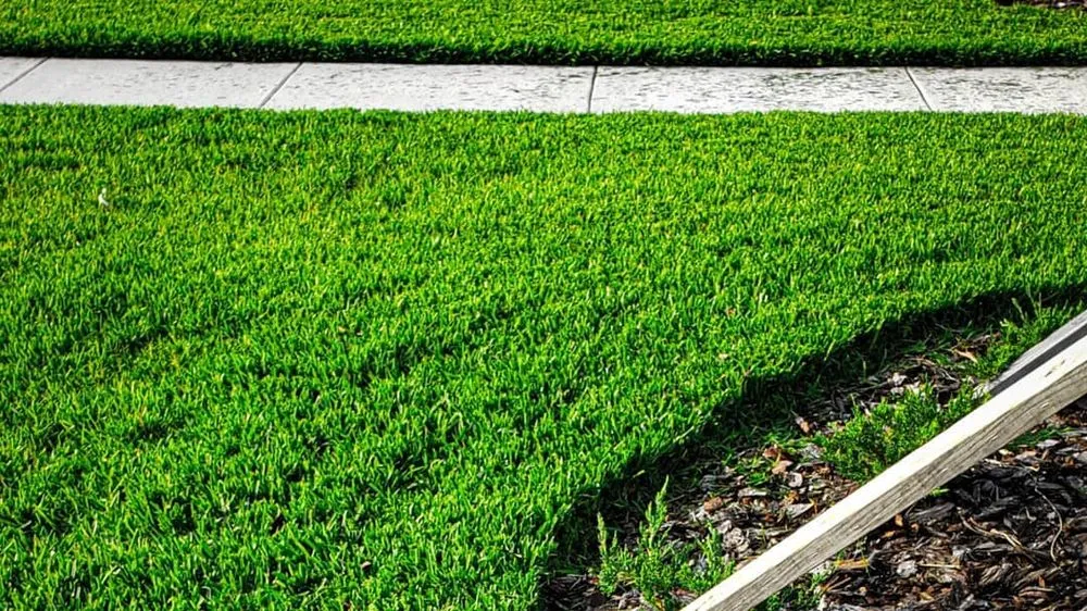 Reliable lawn mowing service experts serving Plant City, FL - Greenworks