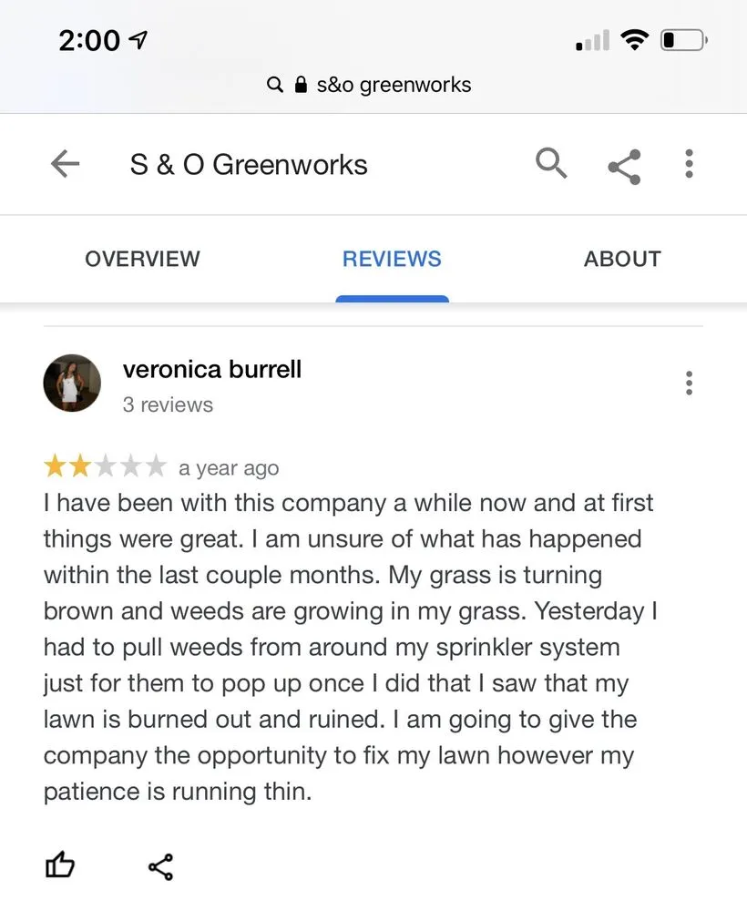 Affordable yard maintenance in Plant City, FL by Greenworks