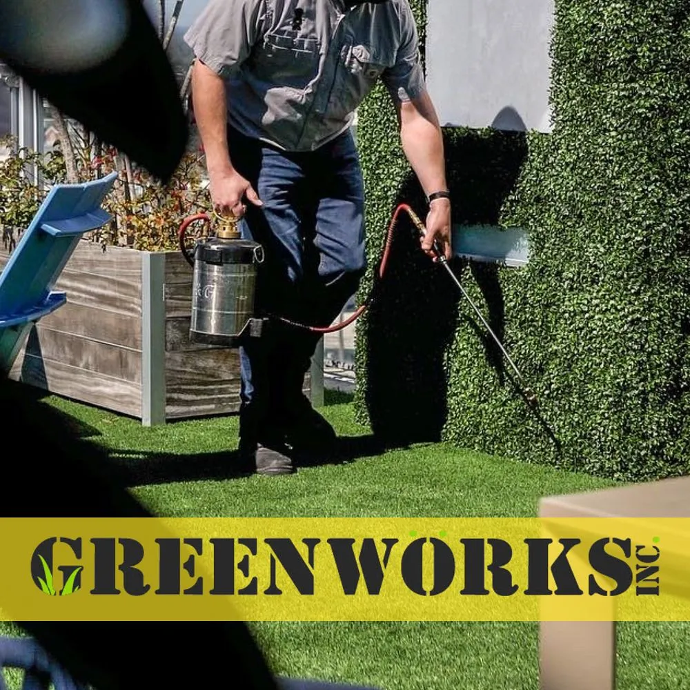 Affordable landscape design for beautiful yards across Plant City, FL - Greenworks