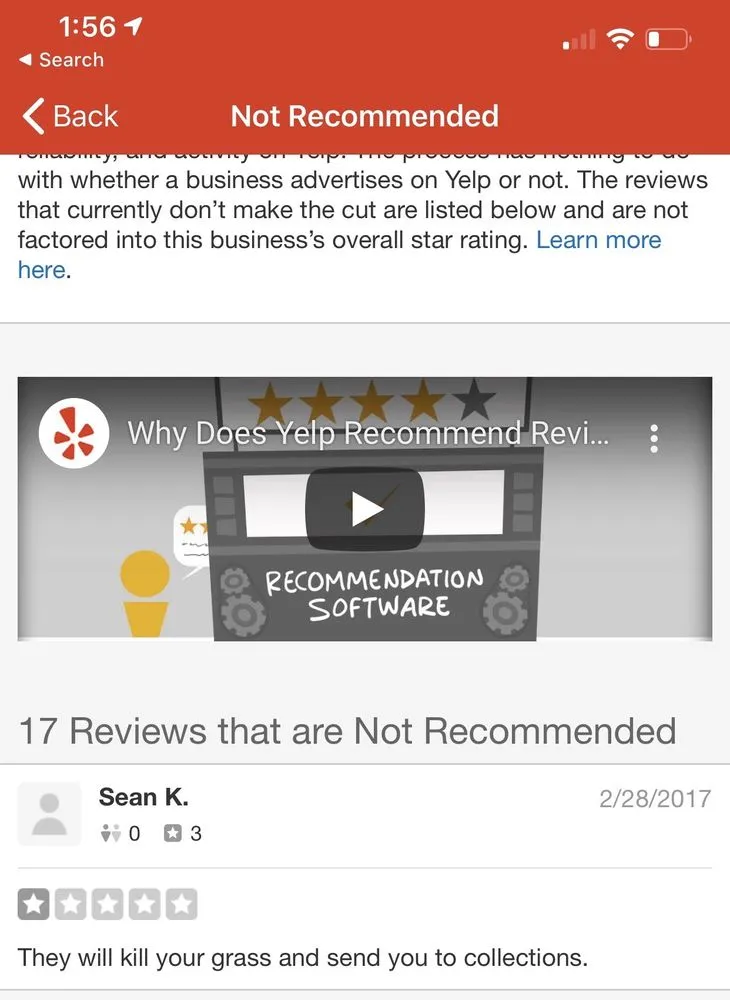 Custom lawn mowing service for outdoor upgrades across Plant City, FL - Greenworks