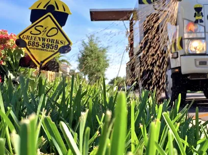 Trusted yard cleanup service experts serving Plant City, FL - Greenworks